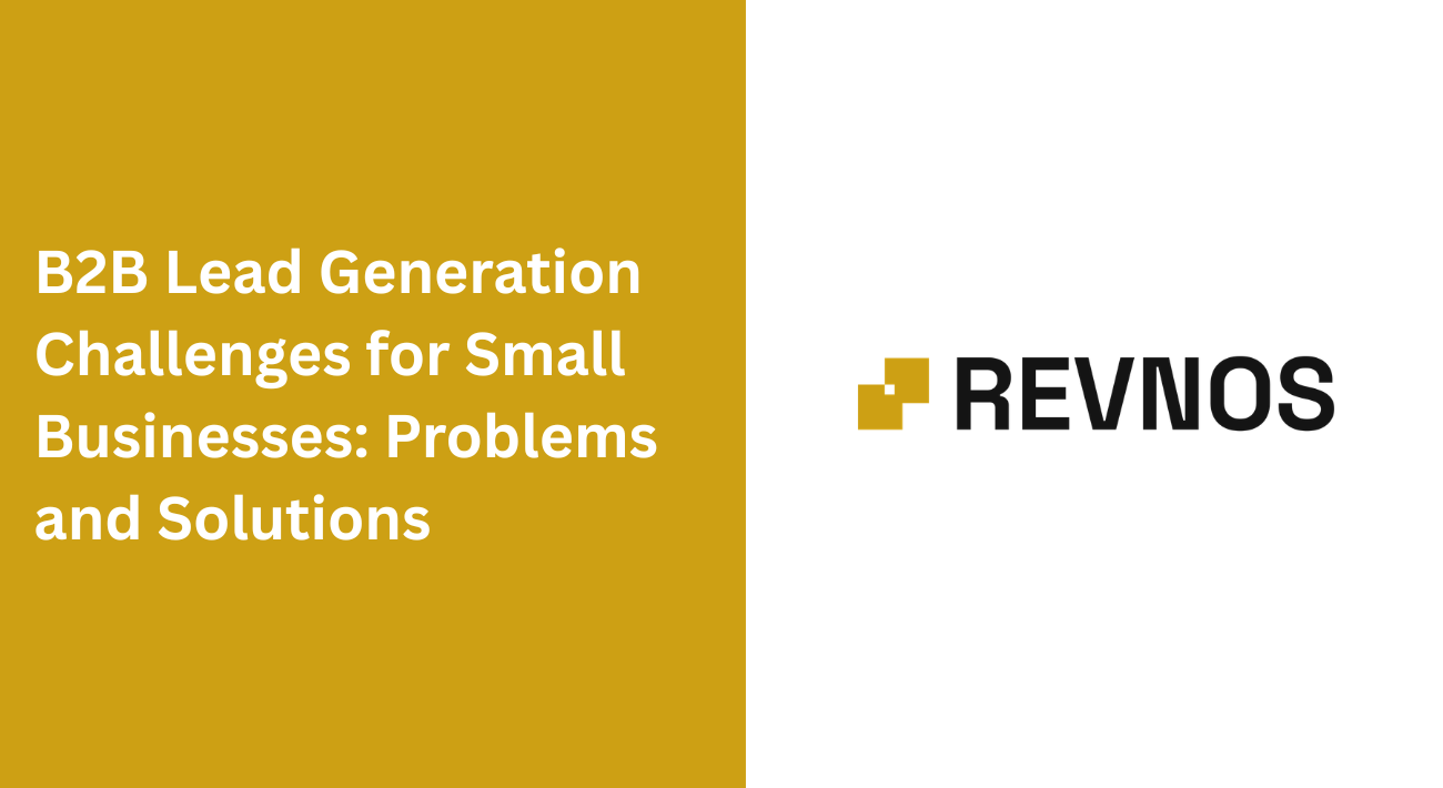 B2B Lead Generation Challenges for Small Businesses Problems and Solutions