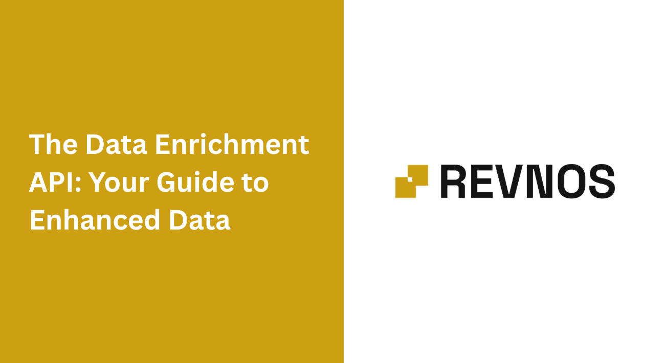 The Data Enrichment API: Your Guide to Enhanced Data
