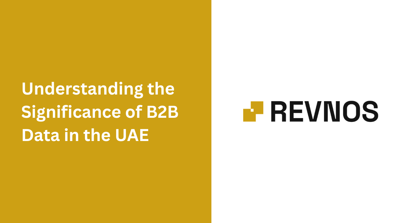 Understanding the Significance of B2B Data in the UAE