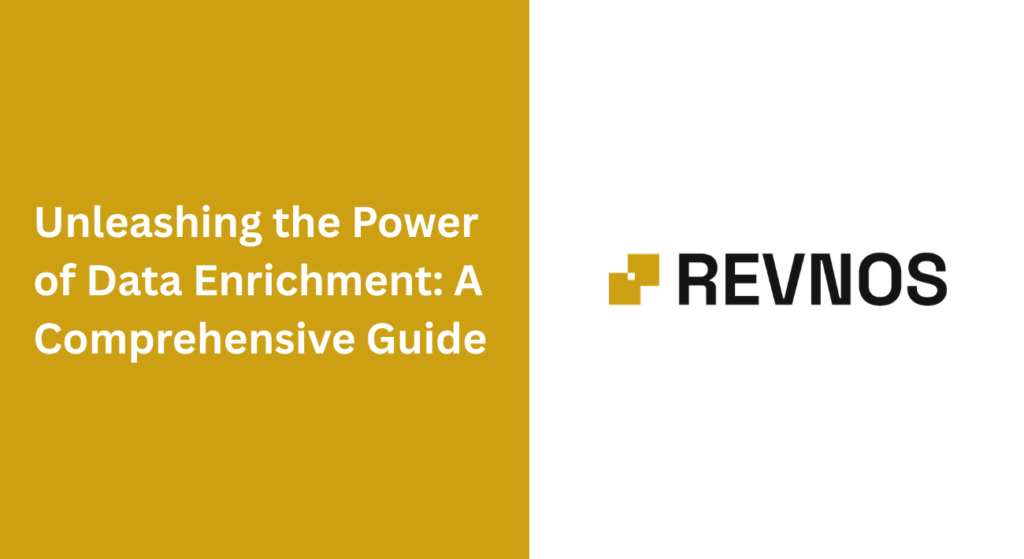 Unleashing the Power of Data Enrichment | Revnos.AI